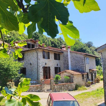 Cara House Tuscany - Zona Lucca Chiatri Exteriör bild