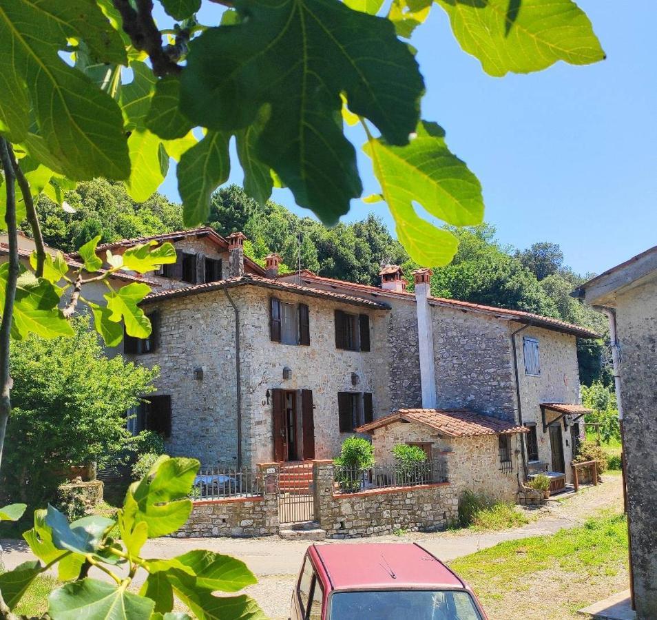 Cara House Tuscany - Zona Lucca Chiatri Exteriör bild